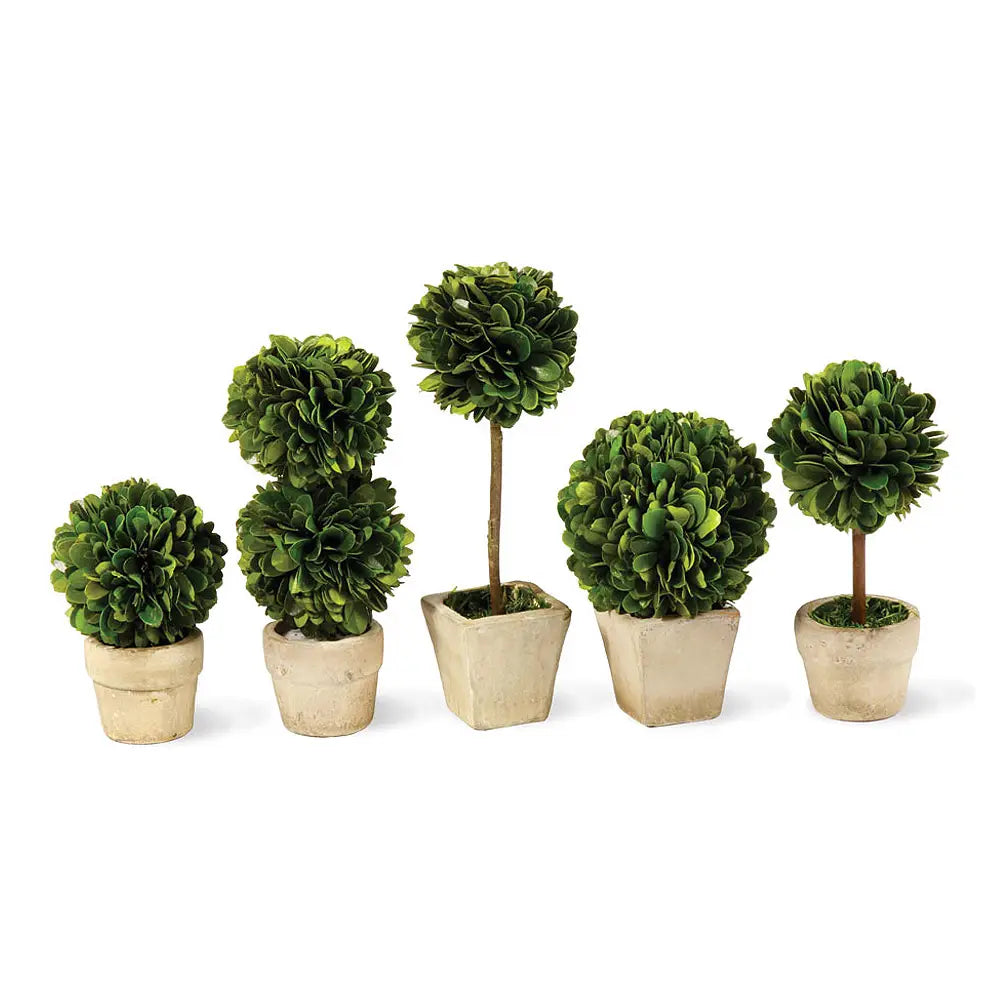 Boxwood Topiary