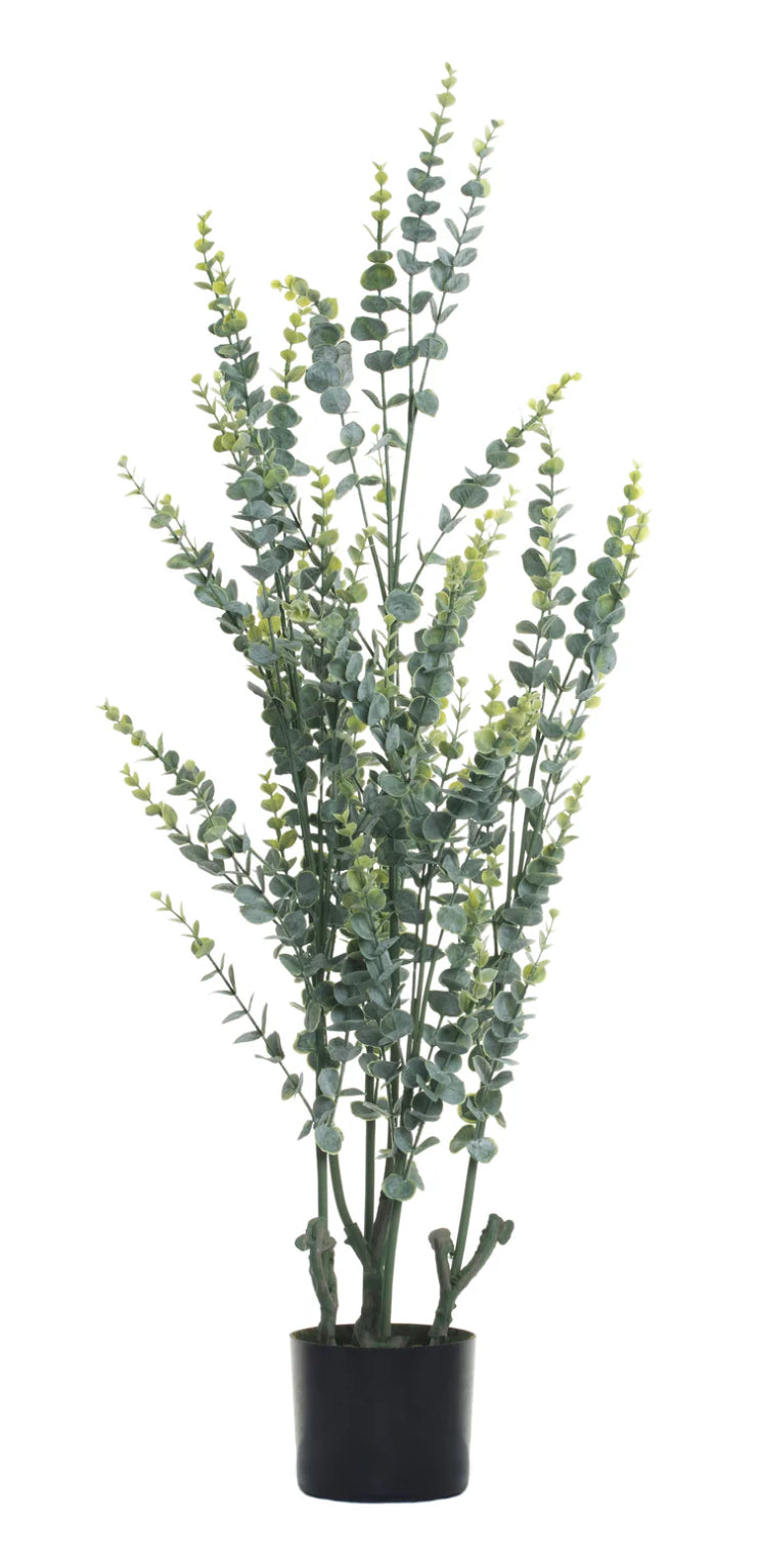 Eucalyptus Tree 43"