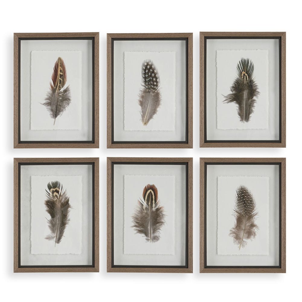BIRDS OF A FEATHER S/3