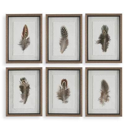 BIRDS OF A FEATHER S/3
