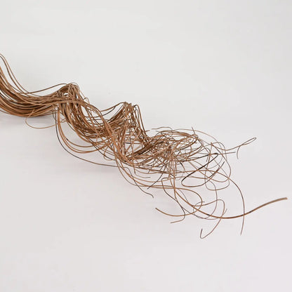 Curly Ting Ting Branches