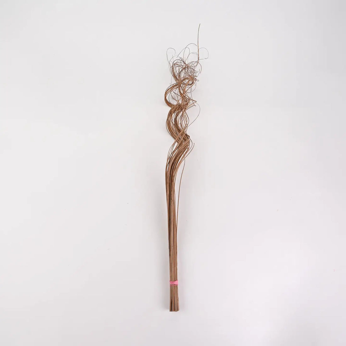 Curly Ting Ting Branches
