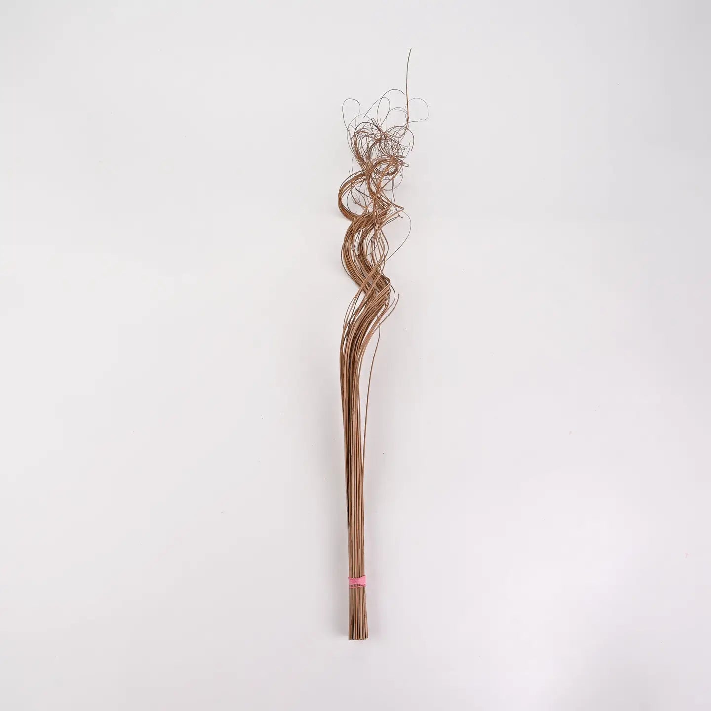 Curly Ting Ting Branches