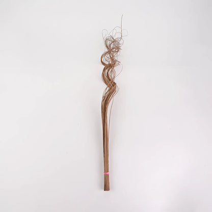 Curly Ting Ting Branches