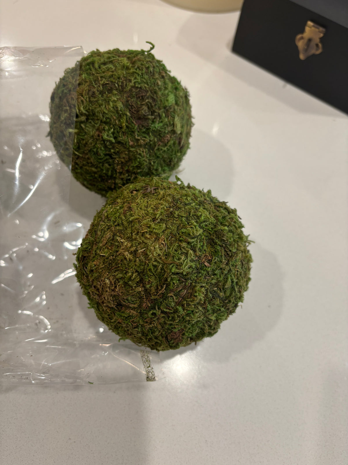 Moss Ball