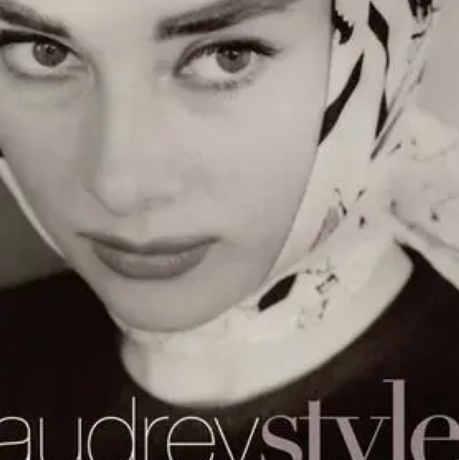 Audrey Style : Pamela Clarke Keogh Book