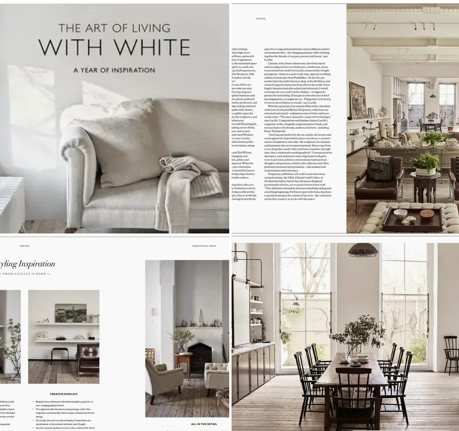 The Art of Living with White : Chrissie Rucker Book