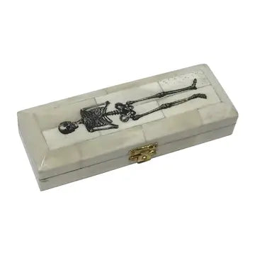 Skeleton Ox Bone Box