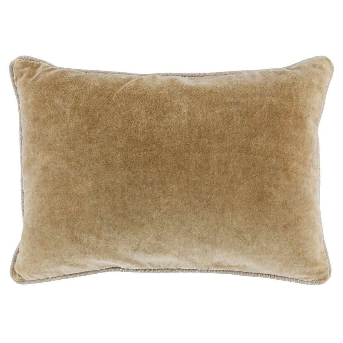 Velvet Pillow 14 x 20
