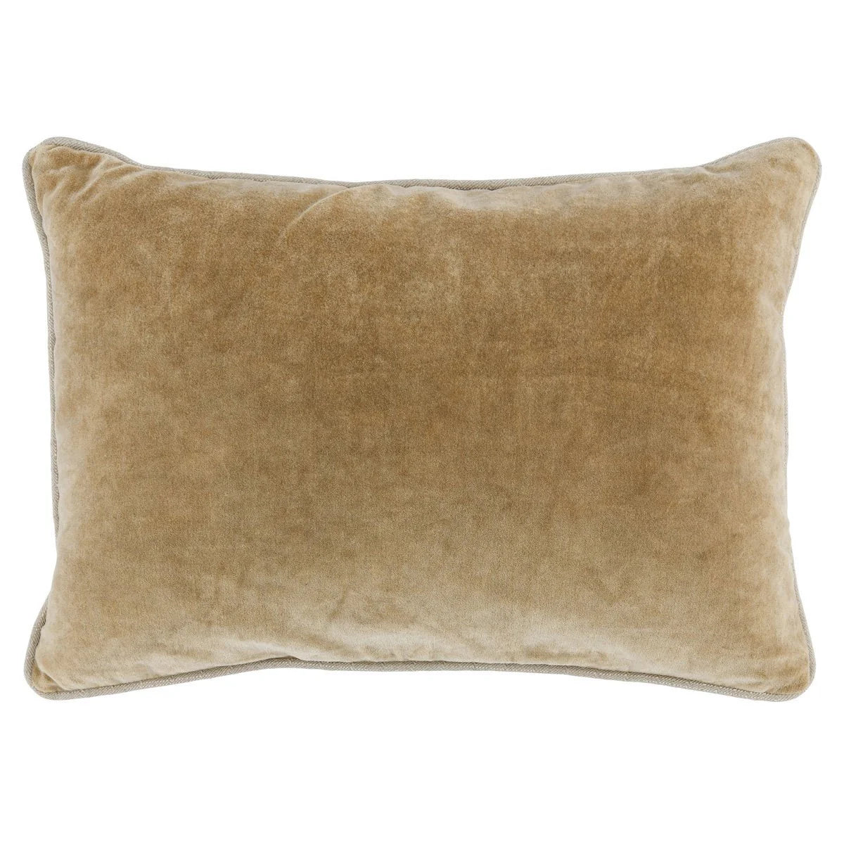 Velvet Pillow 14 x 20