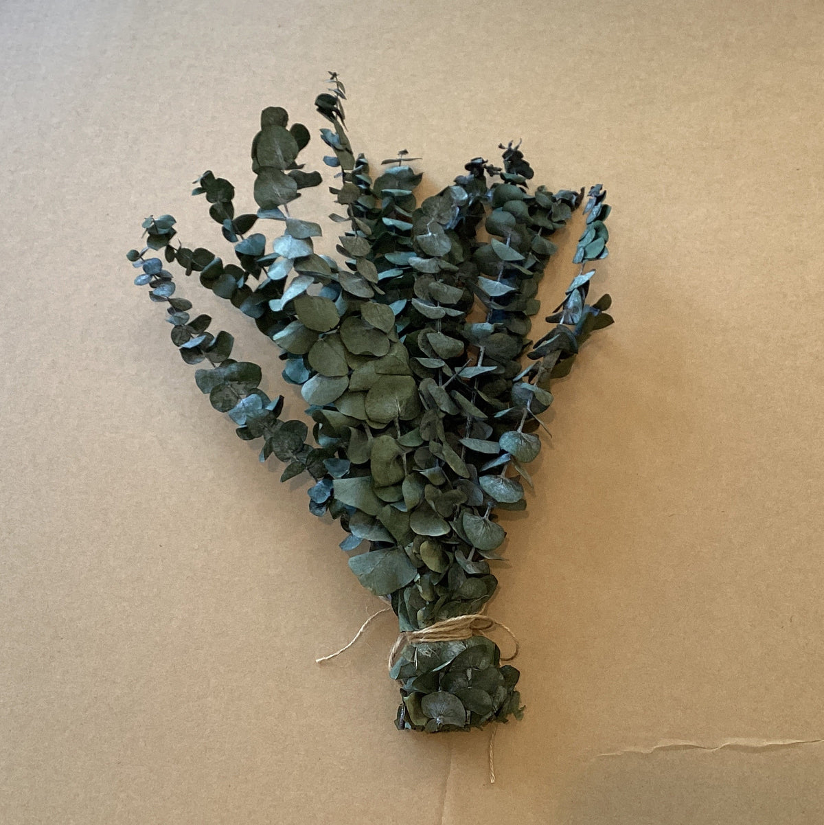 Eucalyptus Shower Bundle