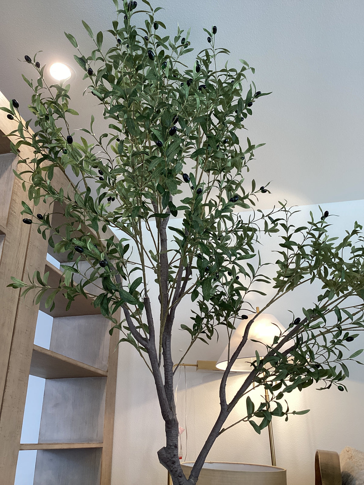 Olive Tree 96"