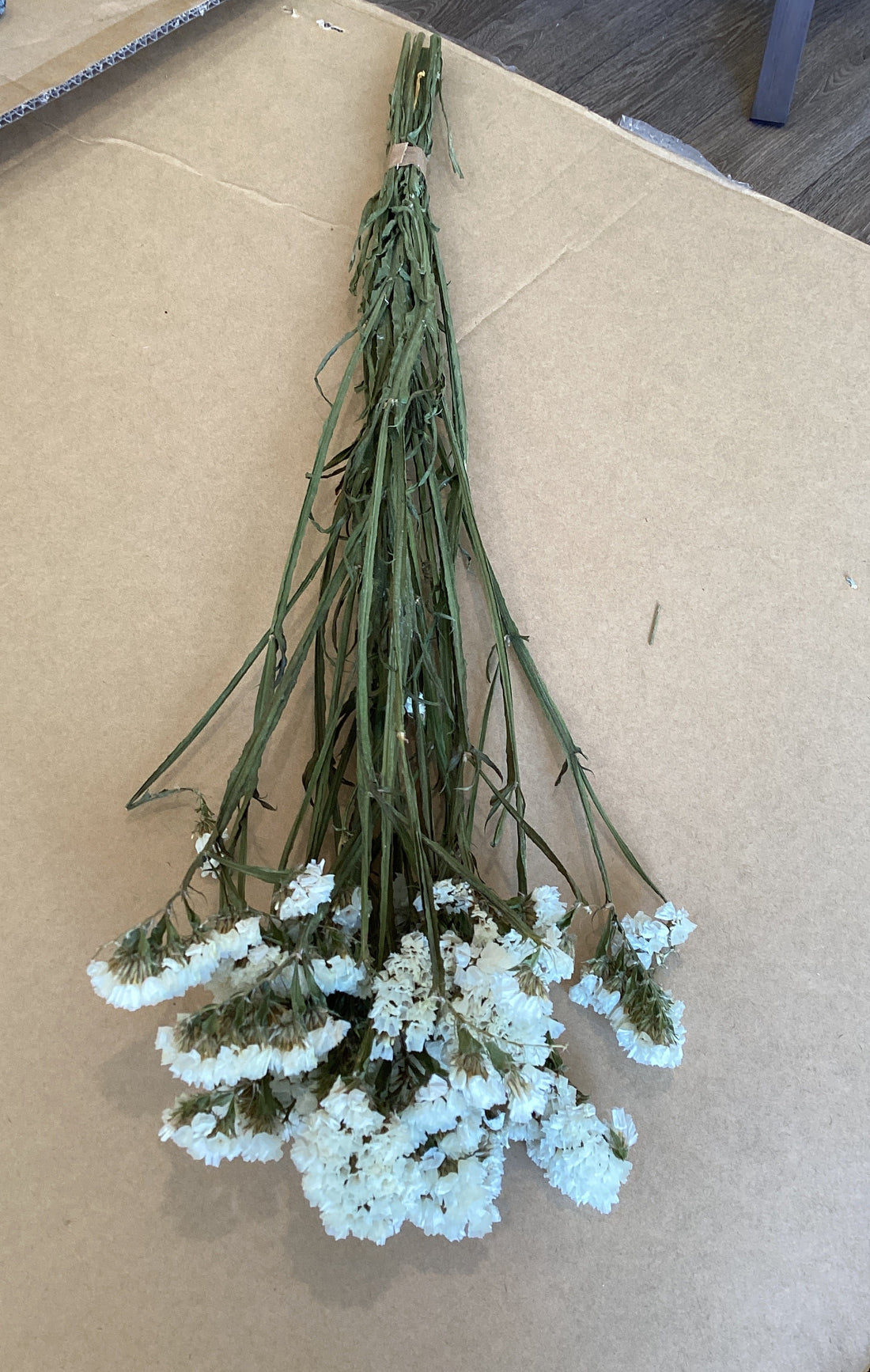 Dried Flower Statice White INDV
