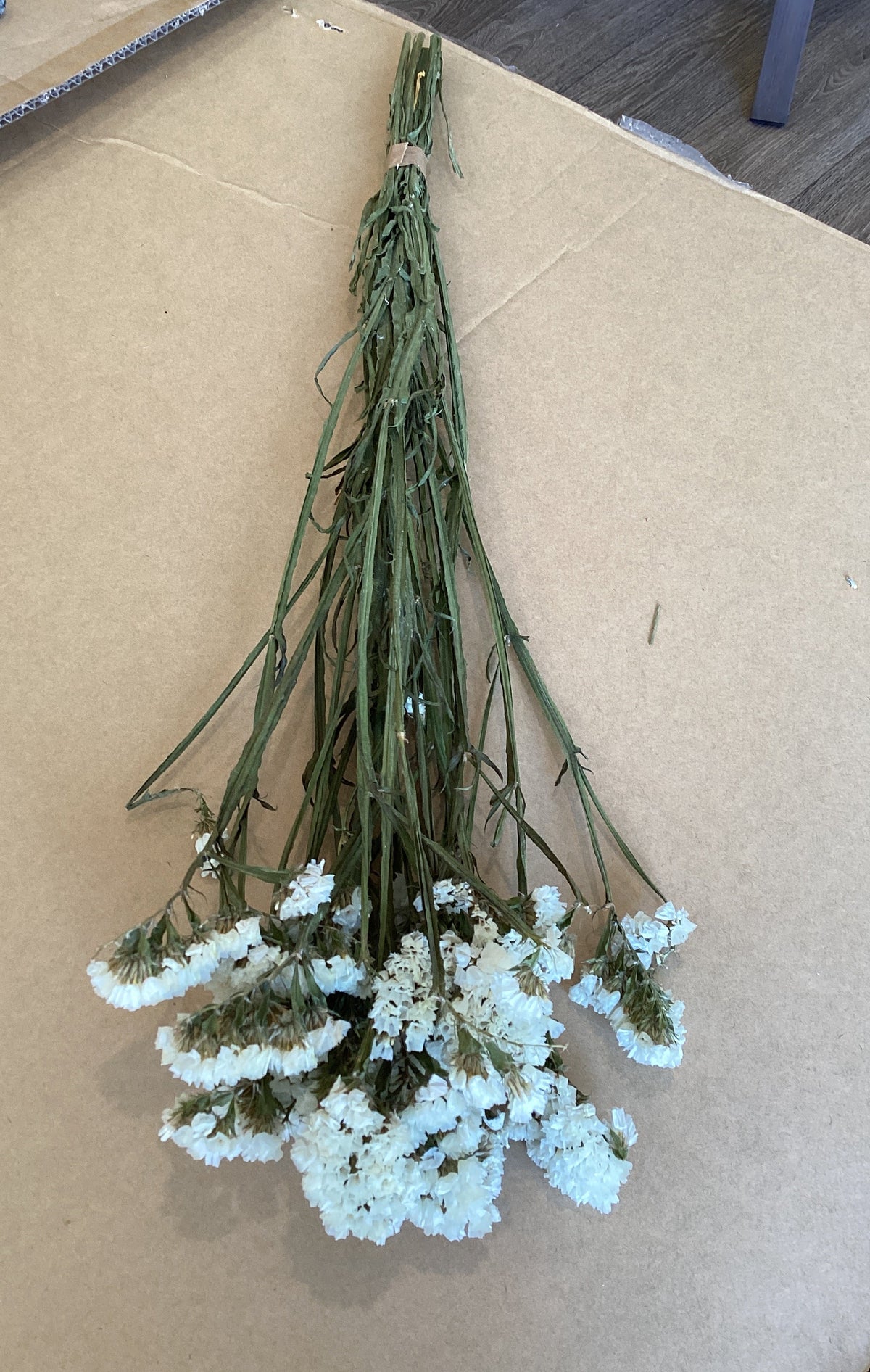 Dried Flower Statice White INDV
